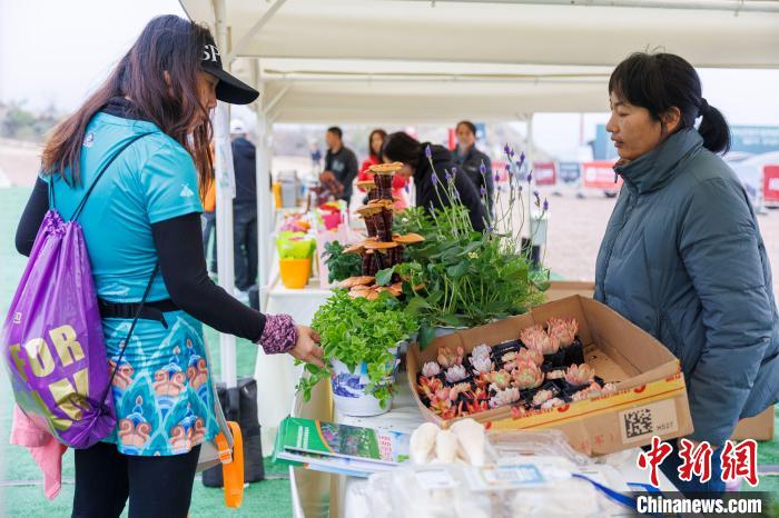 4月14日海字桥起跑，海内外越野爱好者云集延寿